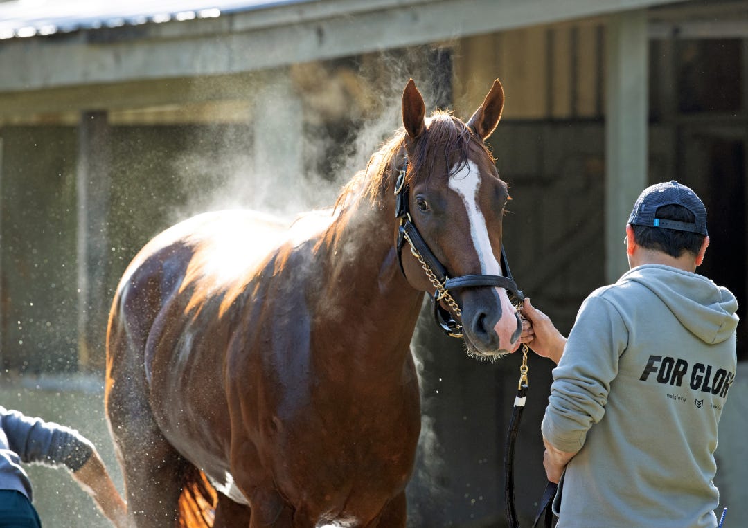 Mage at SAR Aug 22 2023