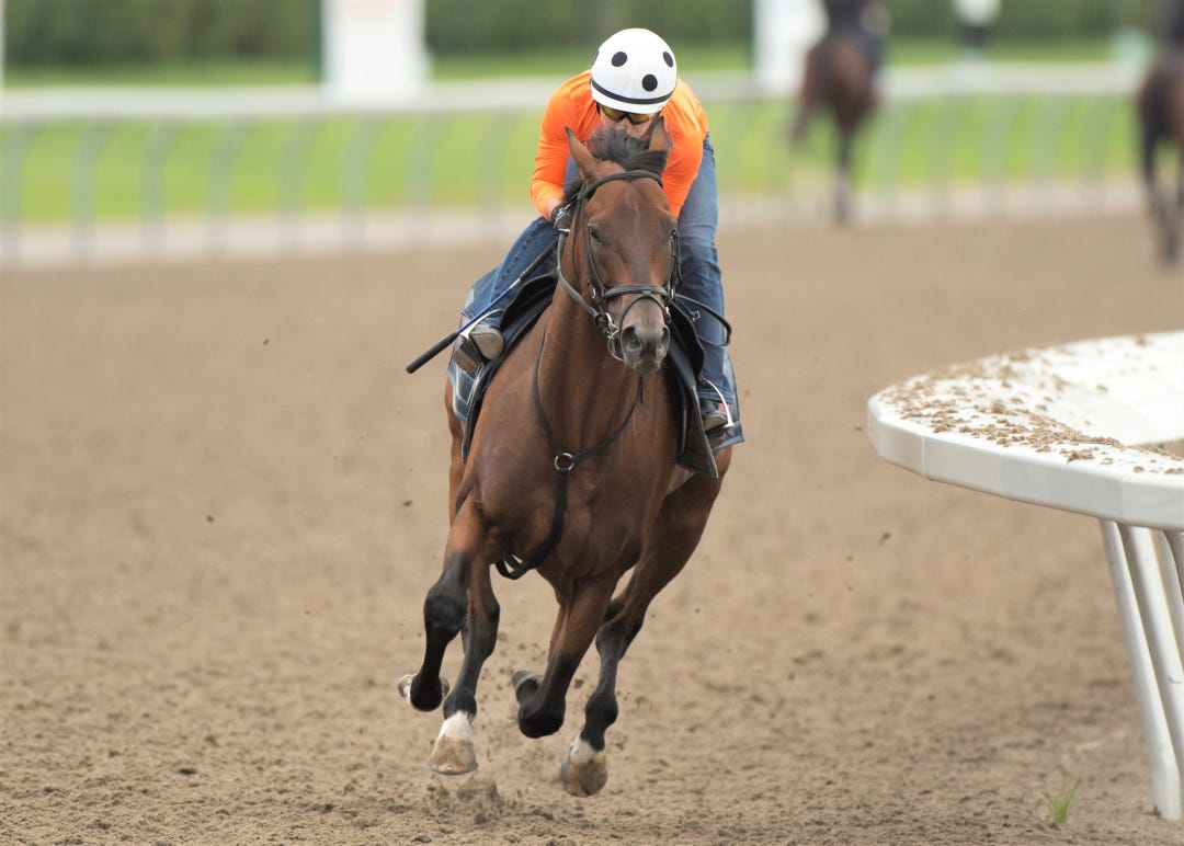 Shirl's Speight trains at WO Sept 25 2022