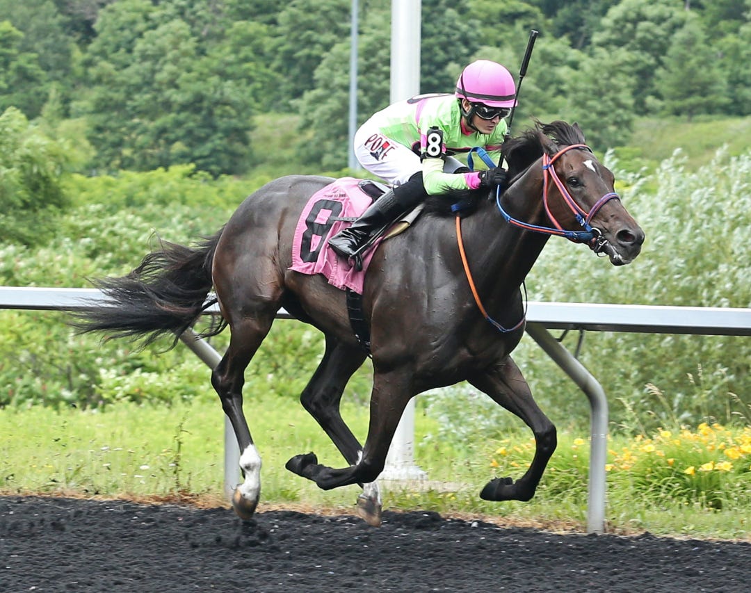Surly Furious-Avery Whisman win Karl Boyes at PID July 5 2022