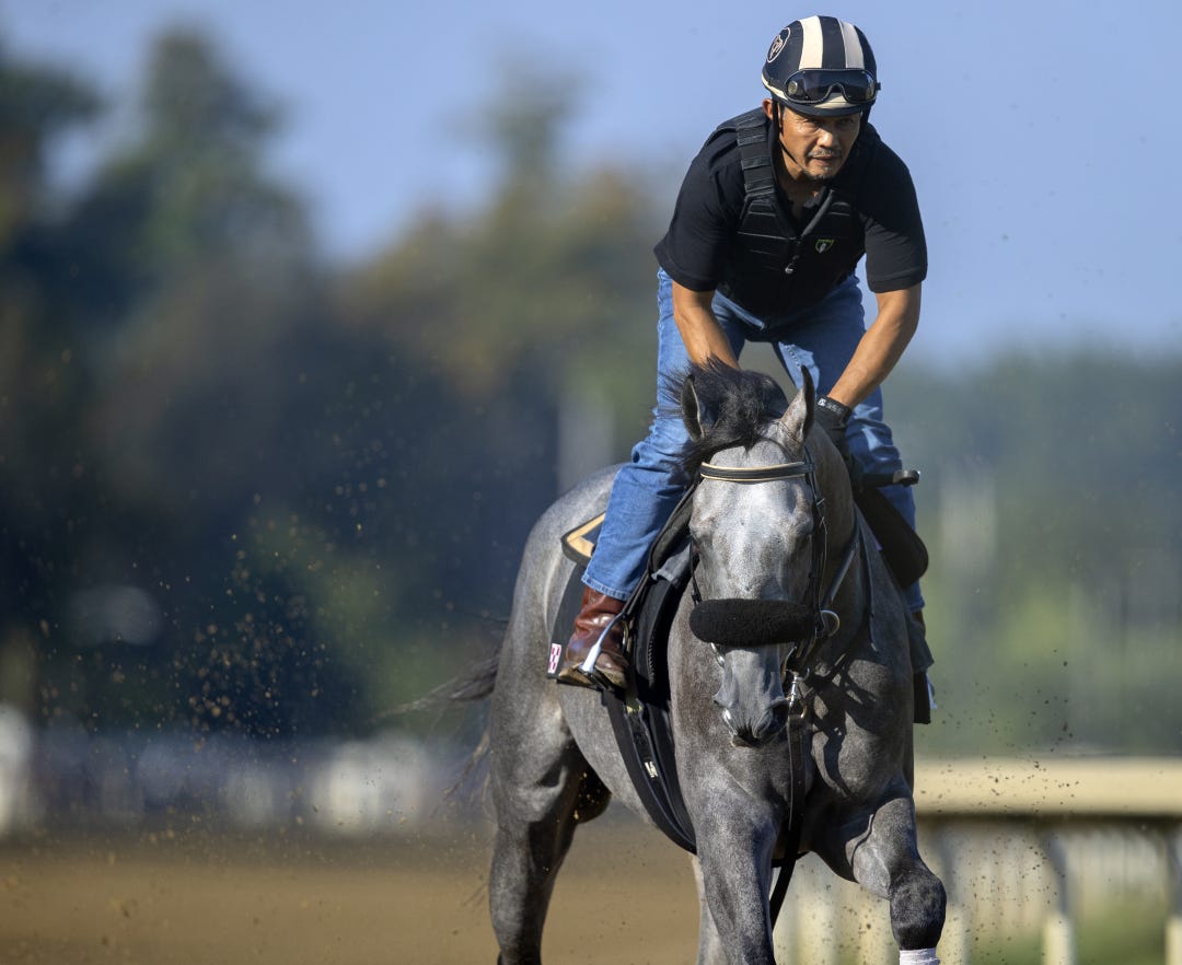 Arcangelo trains at SAR Sept 7 2023