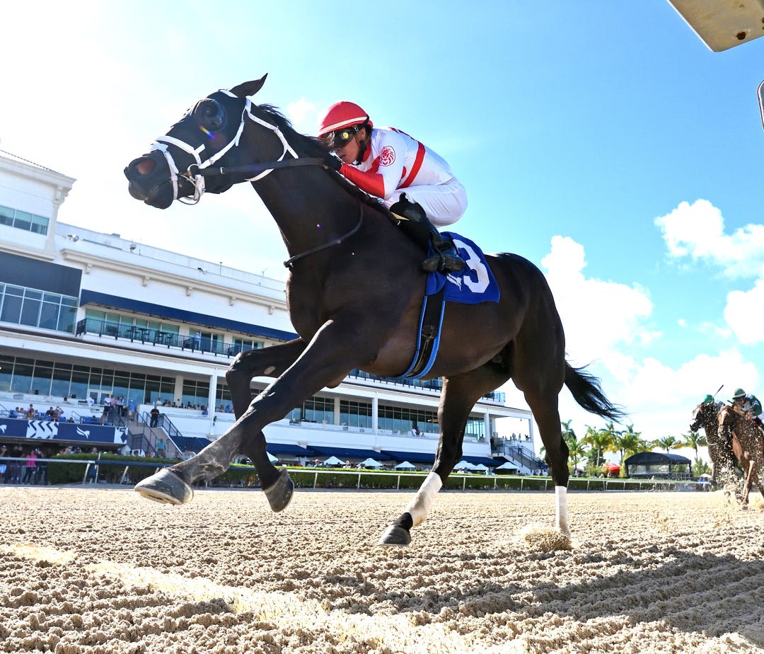Bentornato wins Proud Man at GP Aug 12 2023