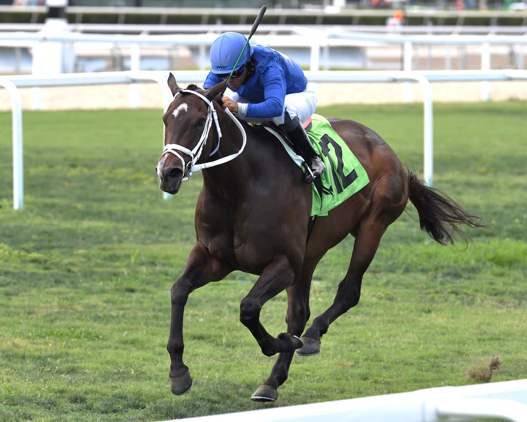 Choose Joy wins at GP May 20 2023