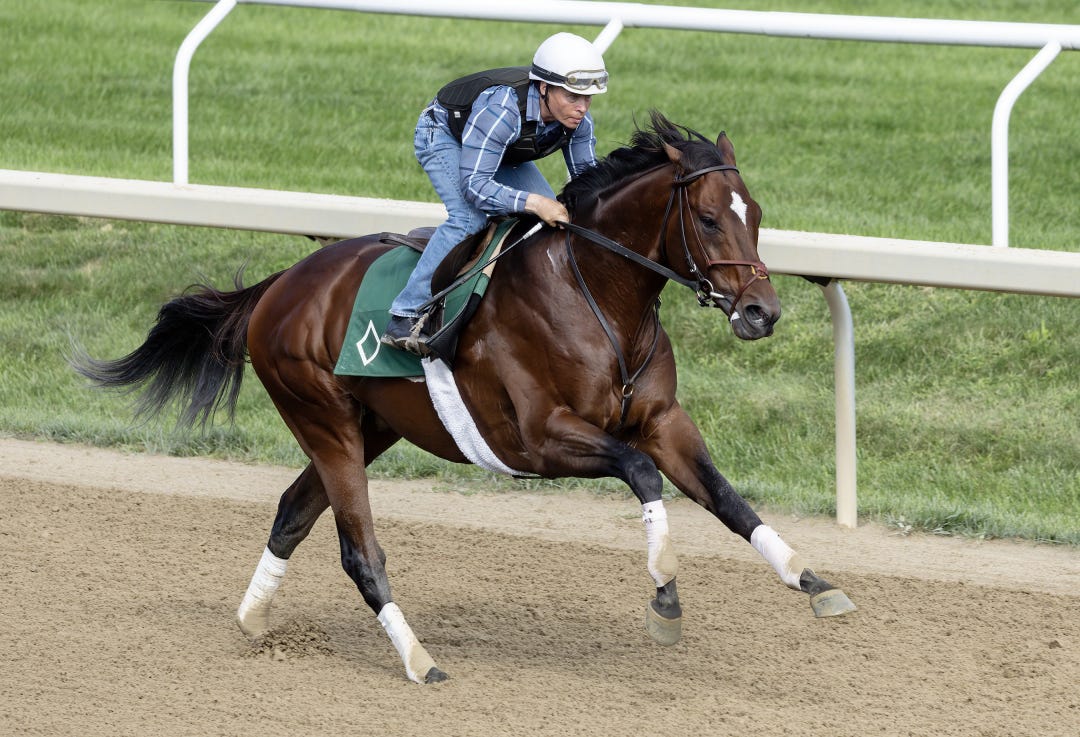 Cody's Wish works at SAR Sept 3 2023