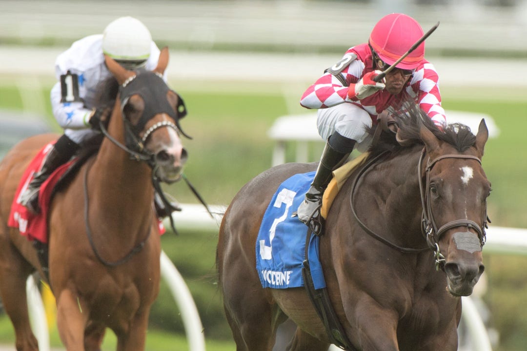 Conman wins Hamilton at WO Aug 6 2023