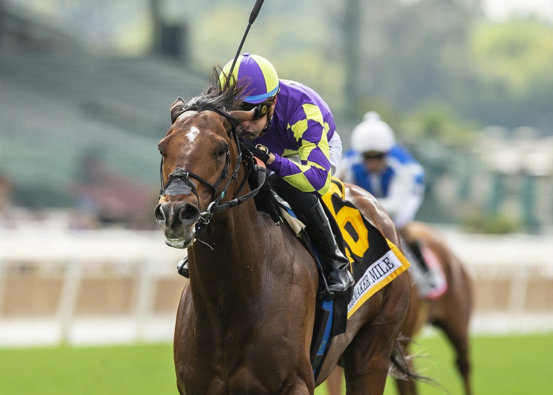 Exaulted wins the Shoemaker Mile at SA May 29 2023