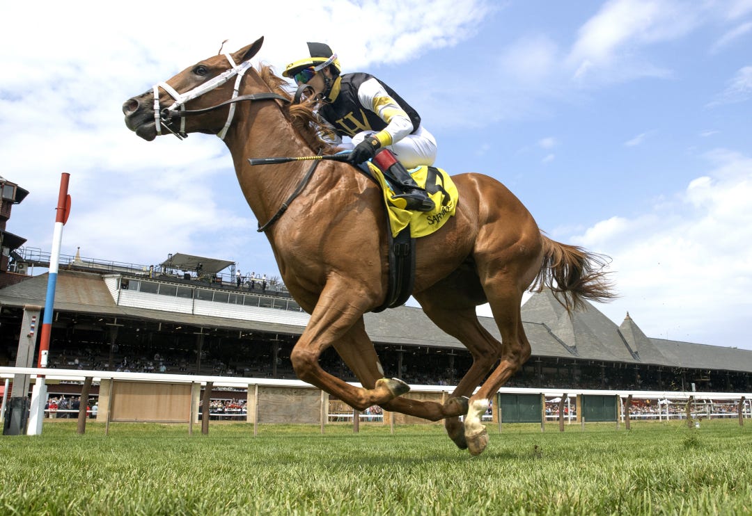Good Lord Lorrie wins debut at SAR Aug 12 2023