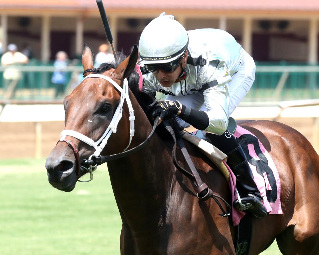 Mozlzil wins maiden at ELP Aug 18 2023