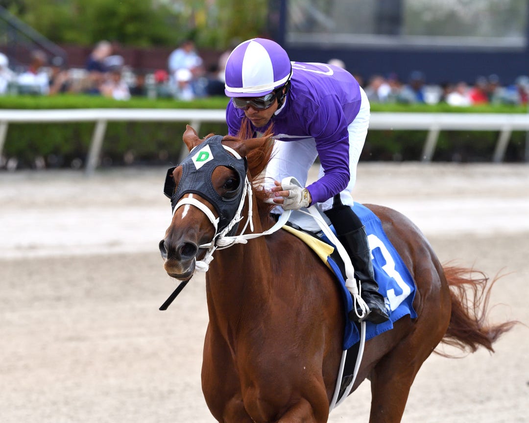 Omaha Girl wins Hallandale Beach at GP Sept 24 2023