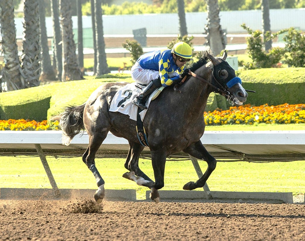 Reincarnate wins Los Alamitos Derby July 8 2023