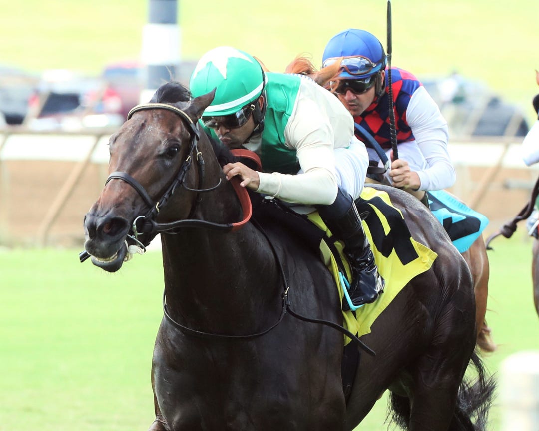 Safeen wins Pucker Up at ELP Aug 6 2023