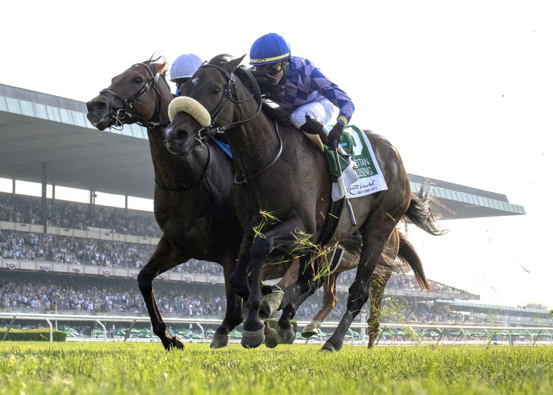 Soldier Rising (not winner).6-10-23 at BEL