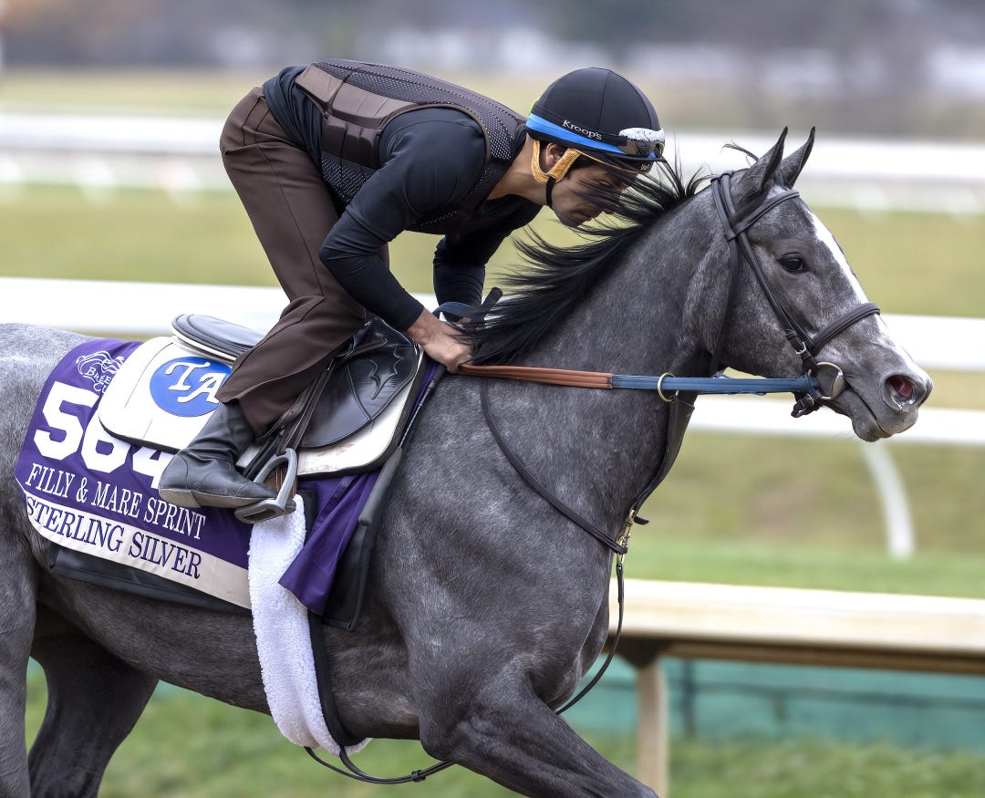 Sterling Silver trains at KEE Nov 1 2022