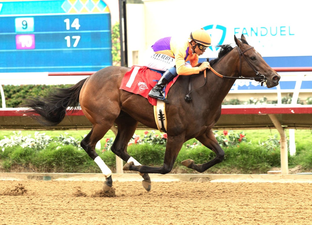 Tamara wins maiden at DMR Aug 19 2023
