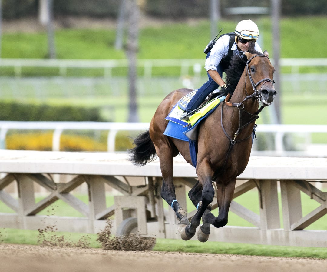 Arabian Knight works at SA Oct 23 2023