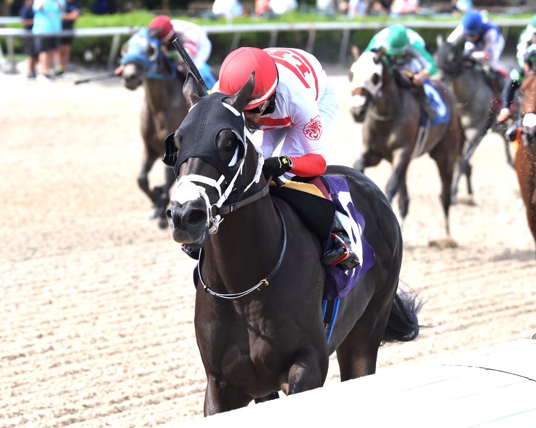 Bentornato wins the Dr. Fager at GP Sept 9 2023