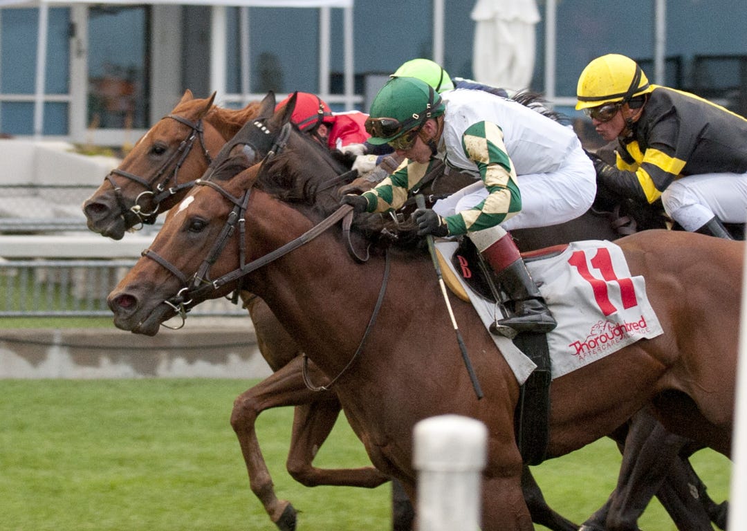 Big Invasion (foreground) wins Nearctic at WO Oct 8 2023
