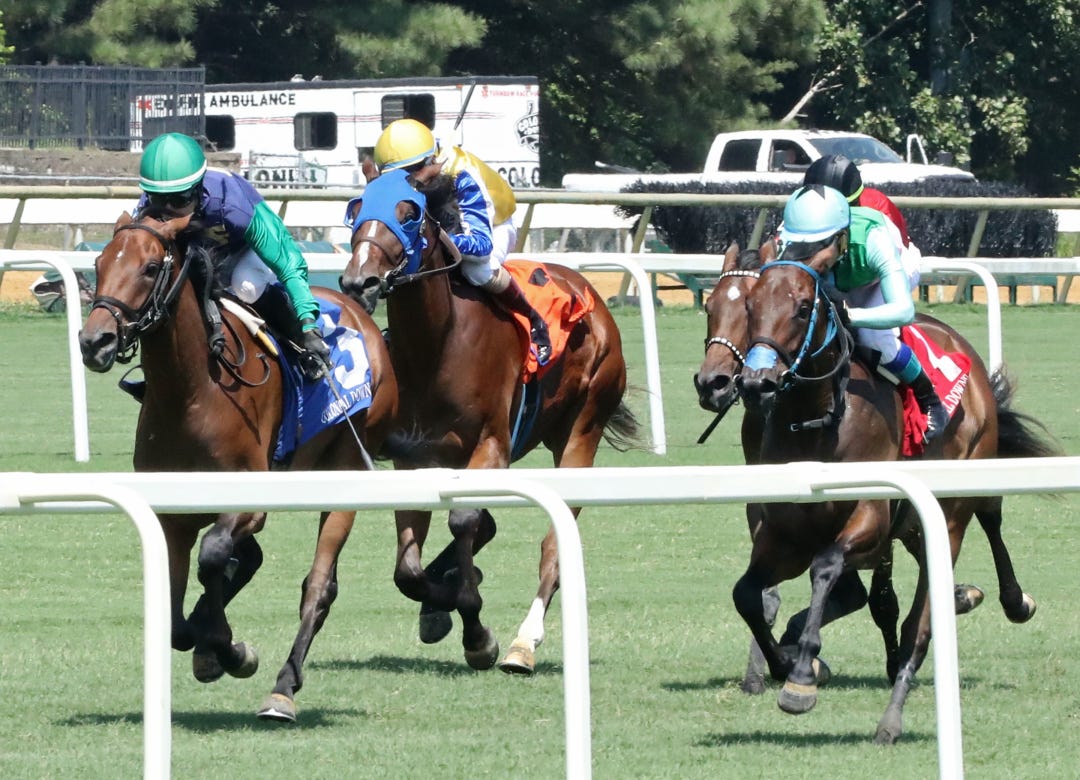 Blue Creek wins maiden at CNL Aug 19 2023