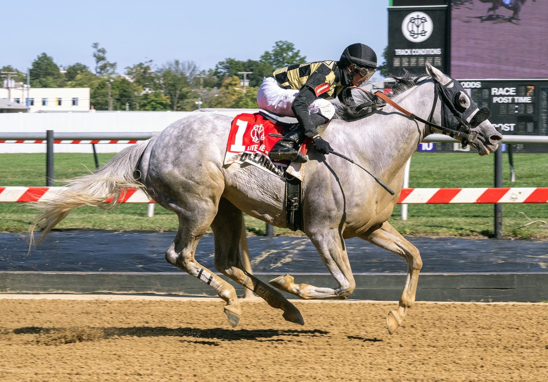 Dollarization wins the Lite the Fuse at PIM Sept 16 2023