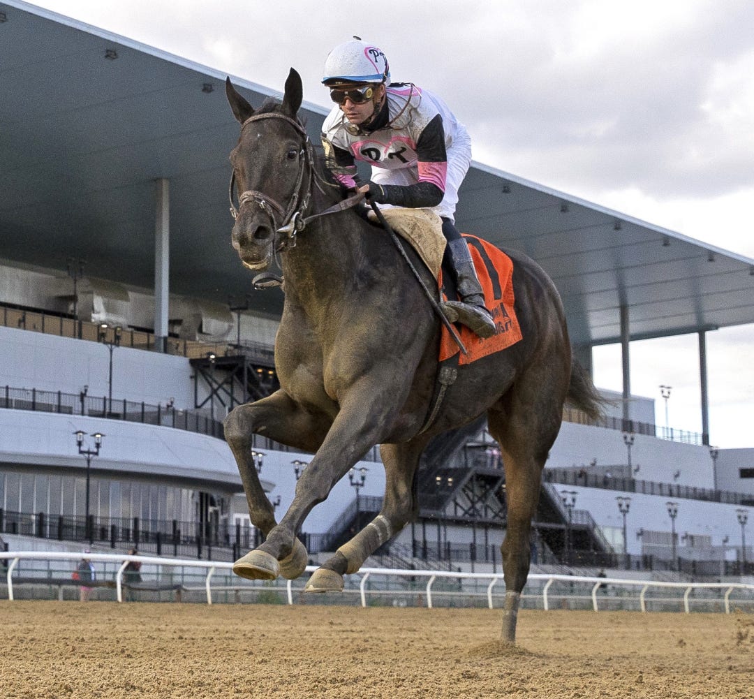 Jody's Pride wins the Matron at AQU Oct 8 2023