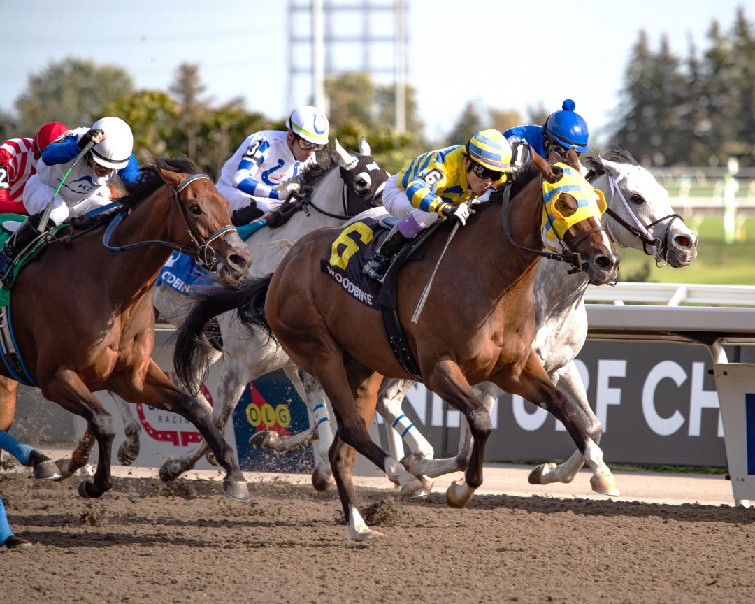 Patches O’Houlihan wins the Vigil at WO Sept 16 2023
