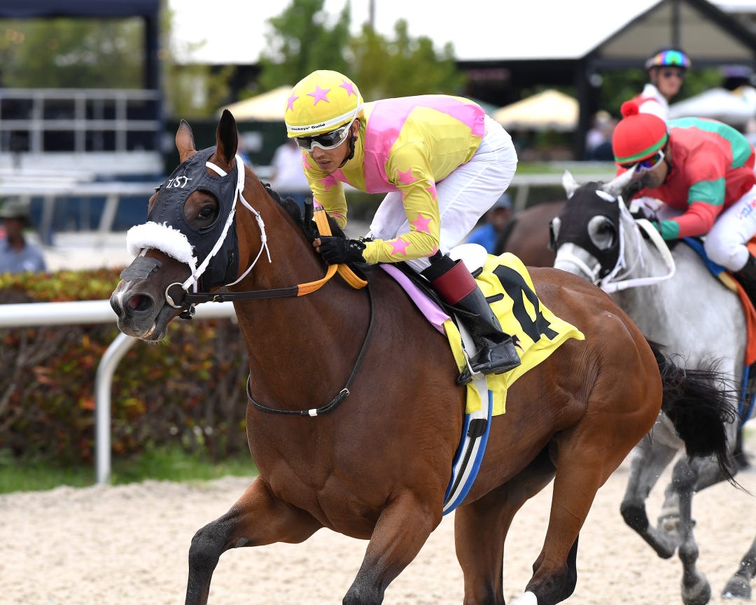 Tamarindo wins the Ginger Punch at GP June 11 2023
