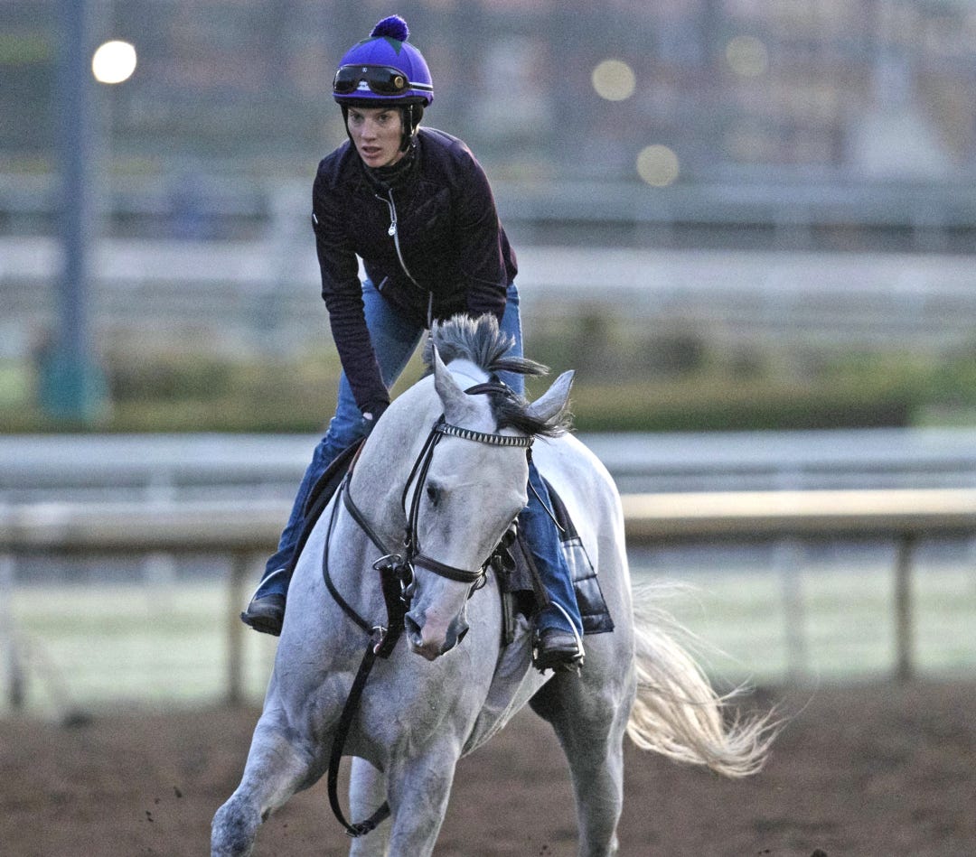 White Abarrio at Santa Anita Oct 24 2023