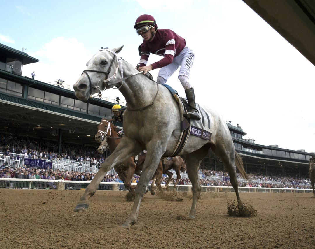 Wicked Halo finishes 3rd in BC F-M Sprint at KEE Nov 5 2022