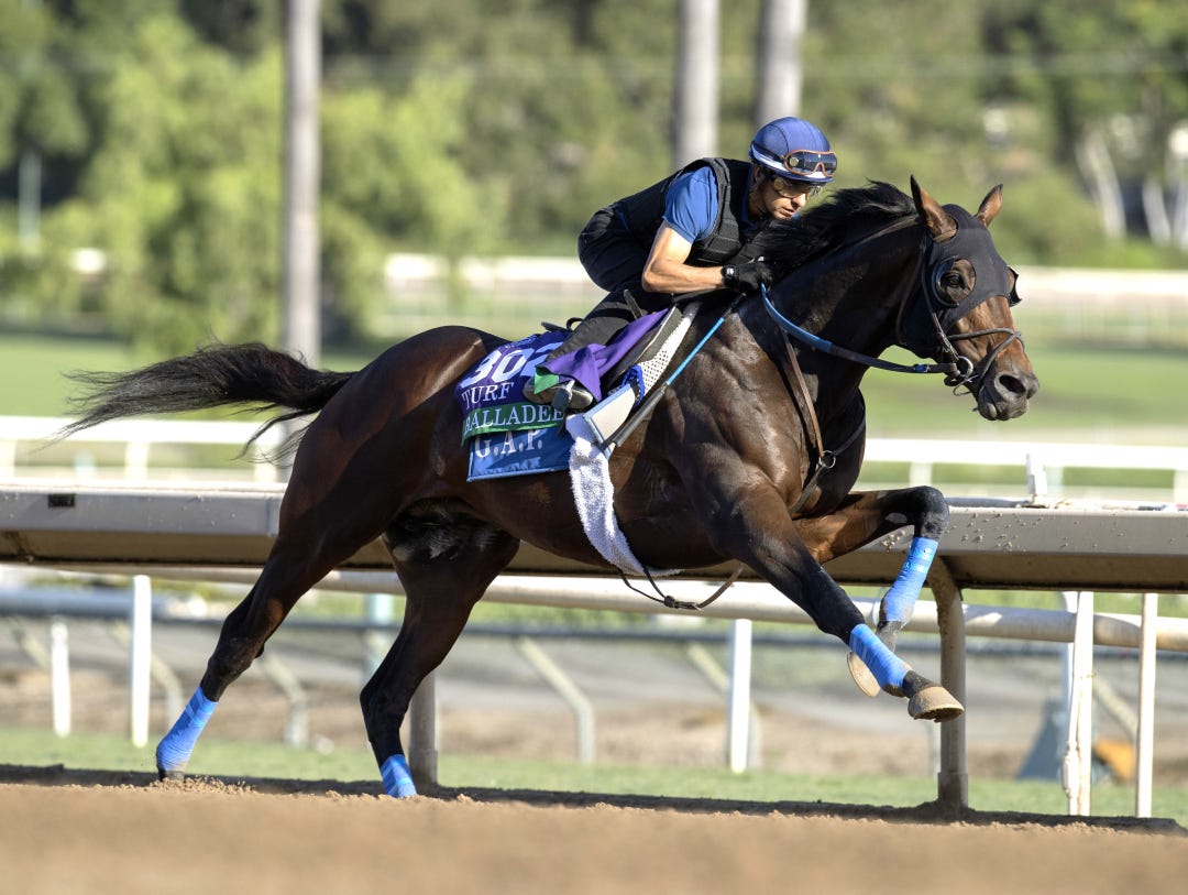 Balladeer works at SA Oct 29 2023