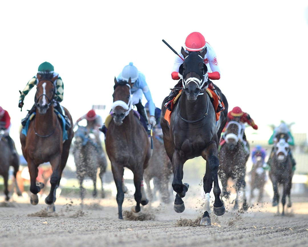 Bentornato wins Affirmed at GP Oct 21 2023