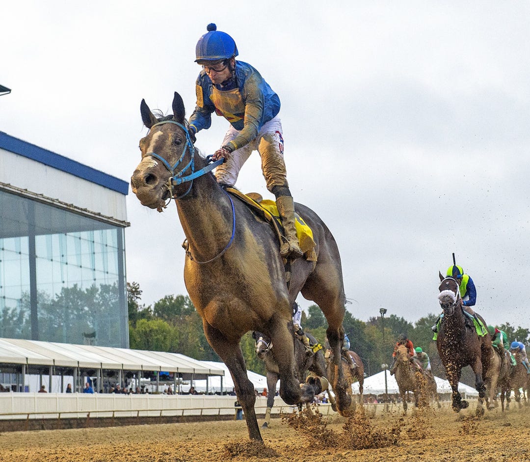 Catahoula Moon wins Maryland Million Nursery at LRL Oct 14 2023