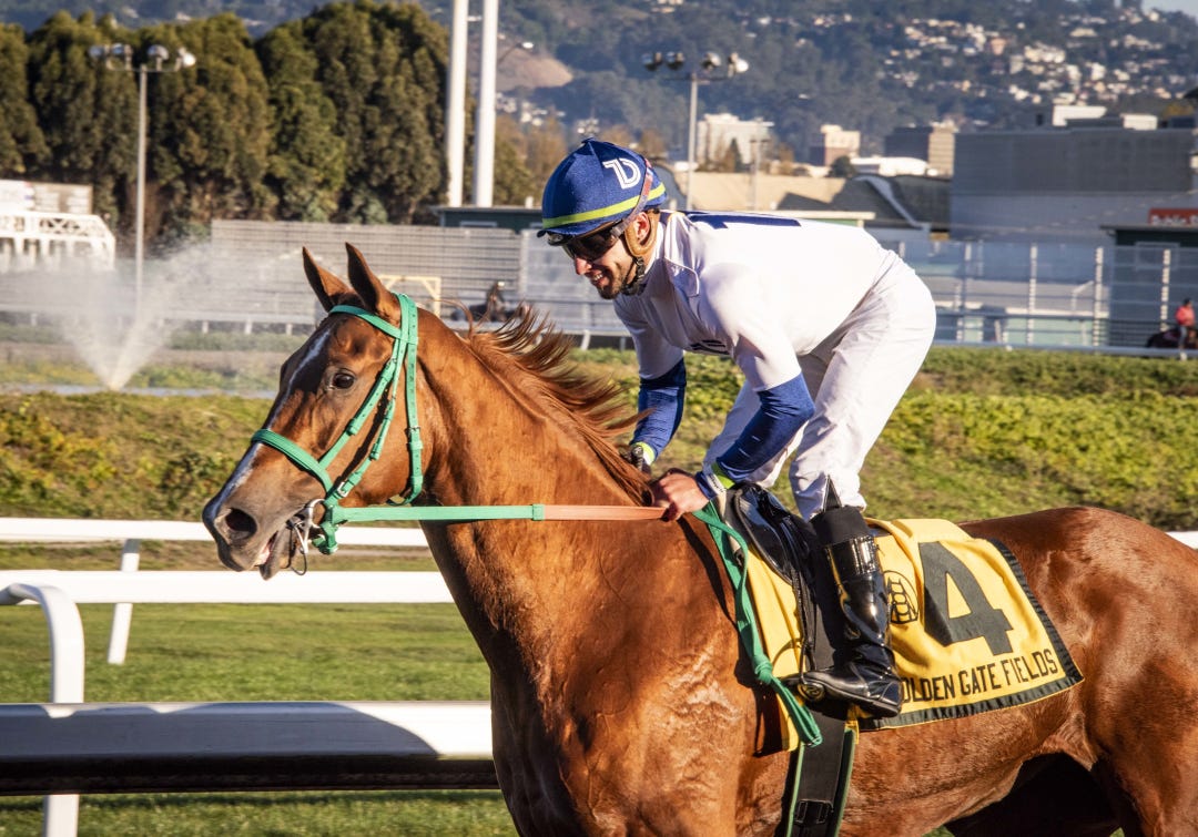 Charlene's Dream after Golden Gate Debutante win Nov 25 2023