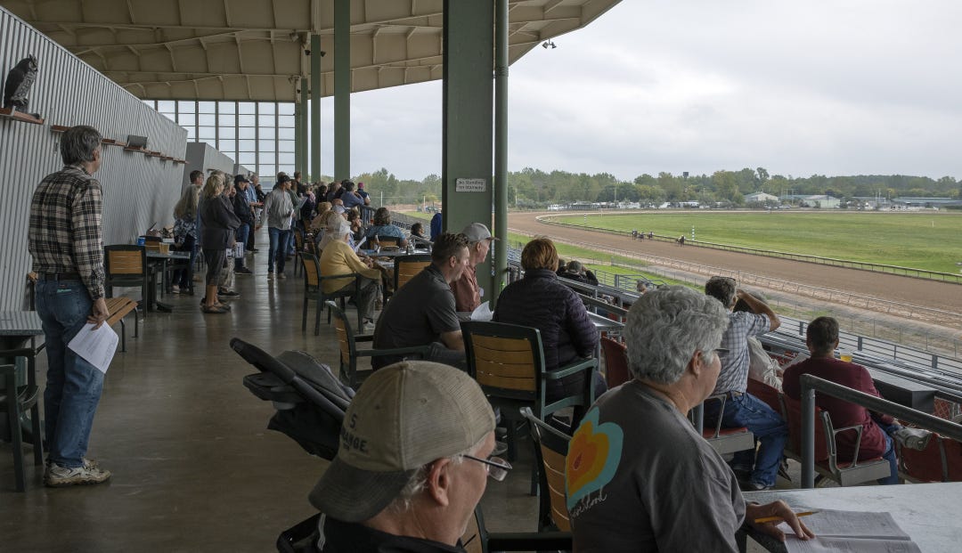 Finger Lakes.Scenic.Crowd Sept 25 2023