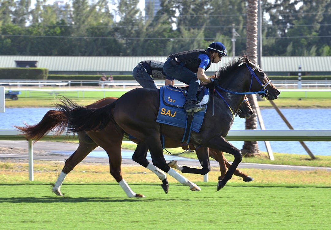 Gulfstream Park turf work Nov 27 2023