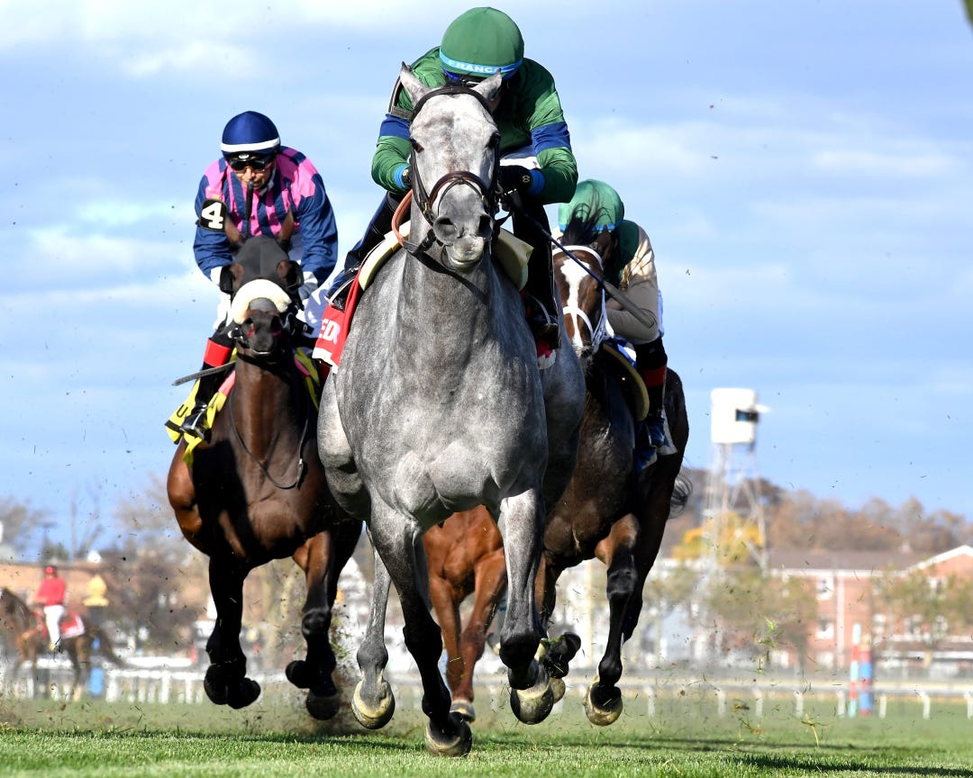 Implicated wins Pebbles at AQU Nov 11 2023