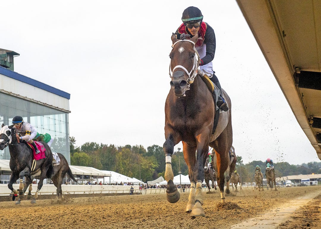 Intrepid Daydream wins Maryland Million Distaff at LRL Oct 14 2023