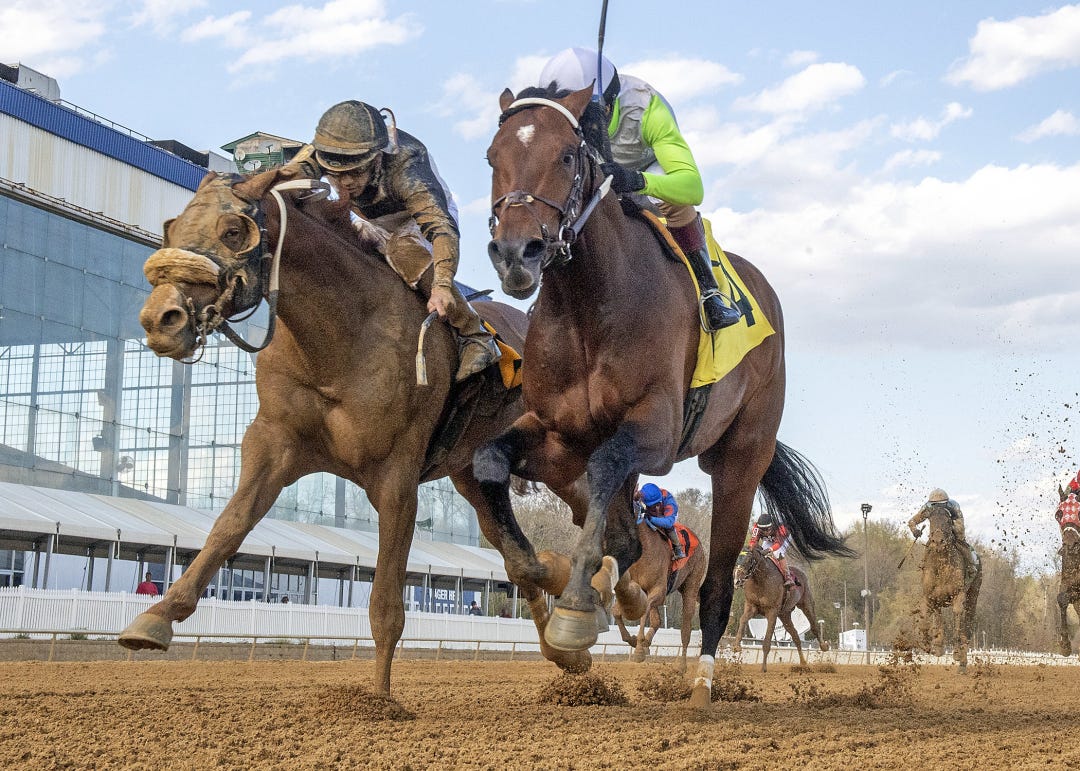 Joe (right) wins Federico Tesio at LRL April 16 2022