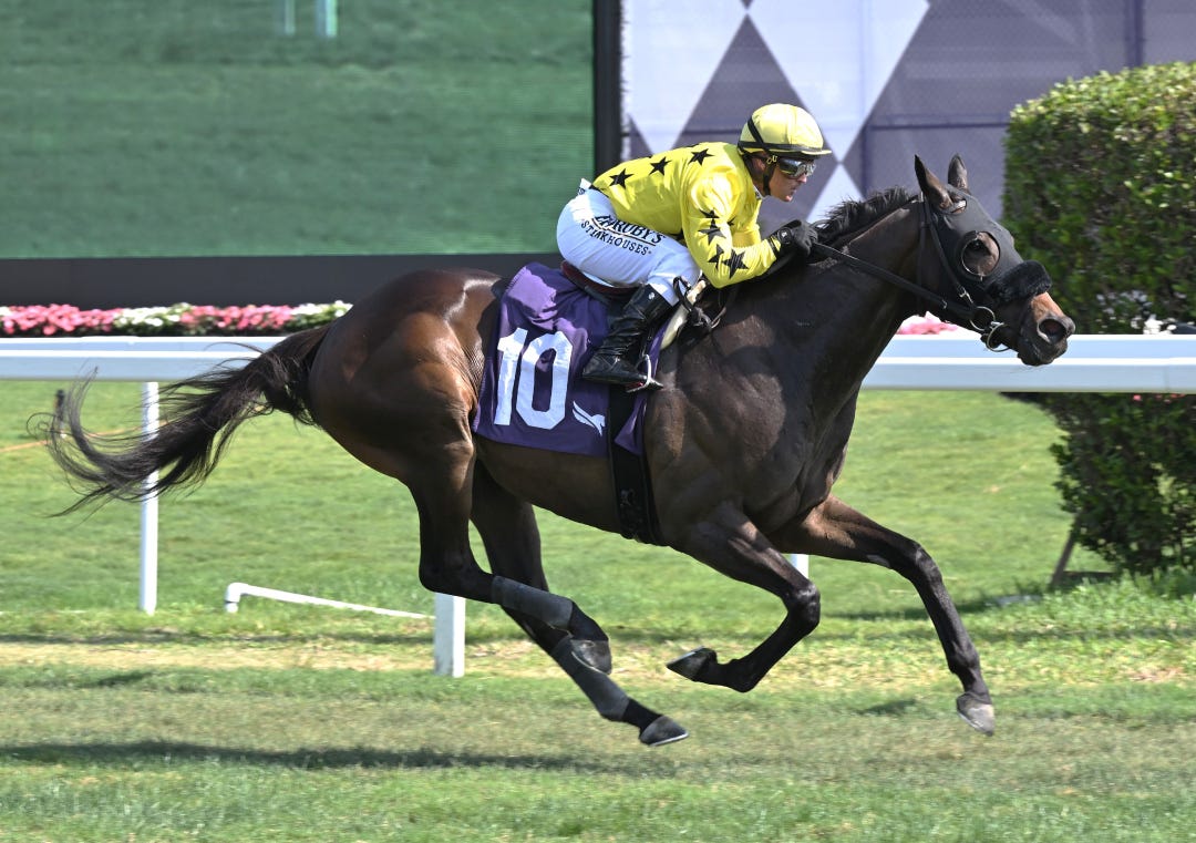 Marwad wins at GP Jan 28 2023