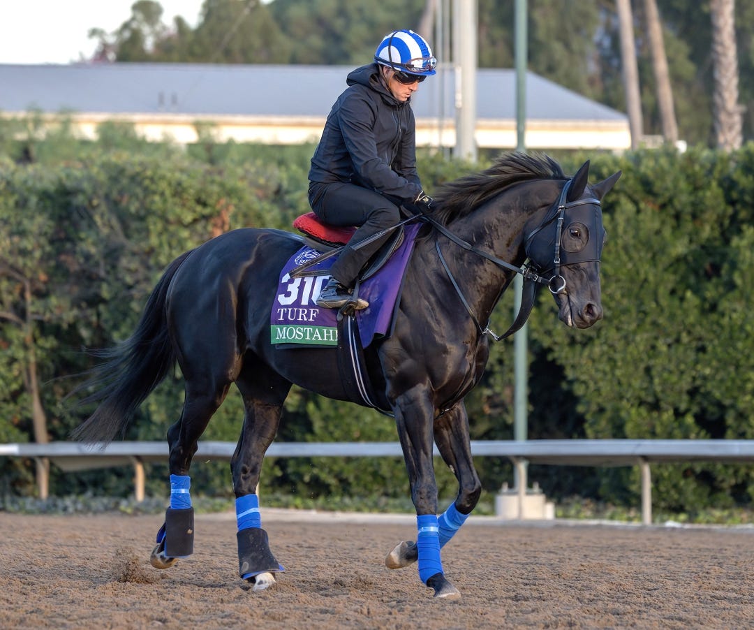 Mostahdaf at SA Nov 1 2023