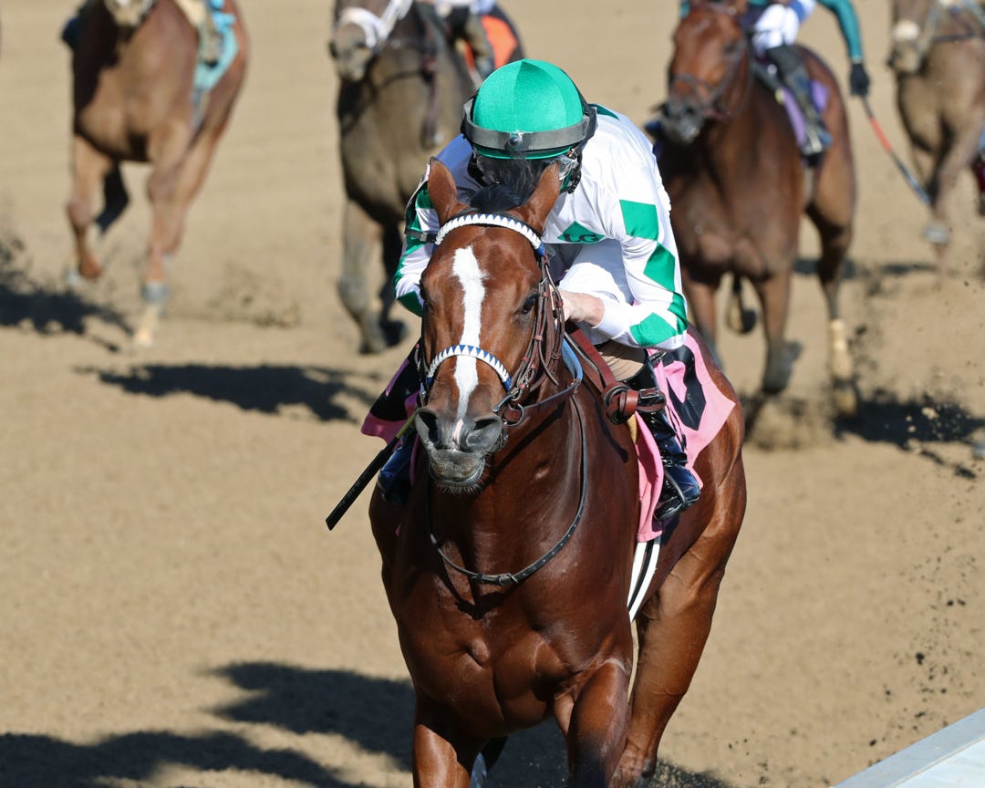 Mystik Dan wins maiden at CD Nov 12 2023