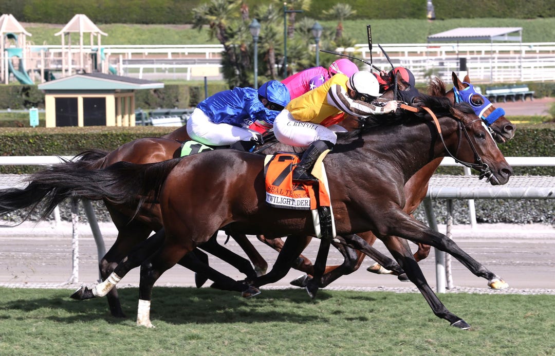 Seal Team wins Twilight Derby at SA Nov 4 2023