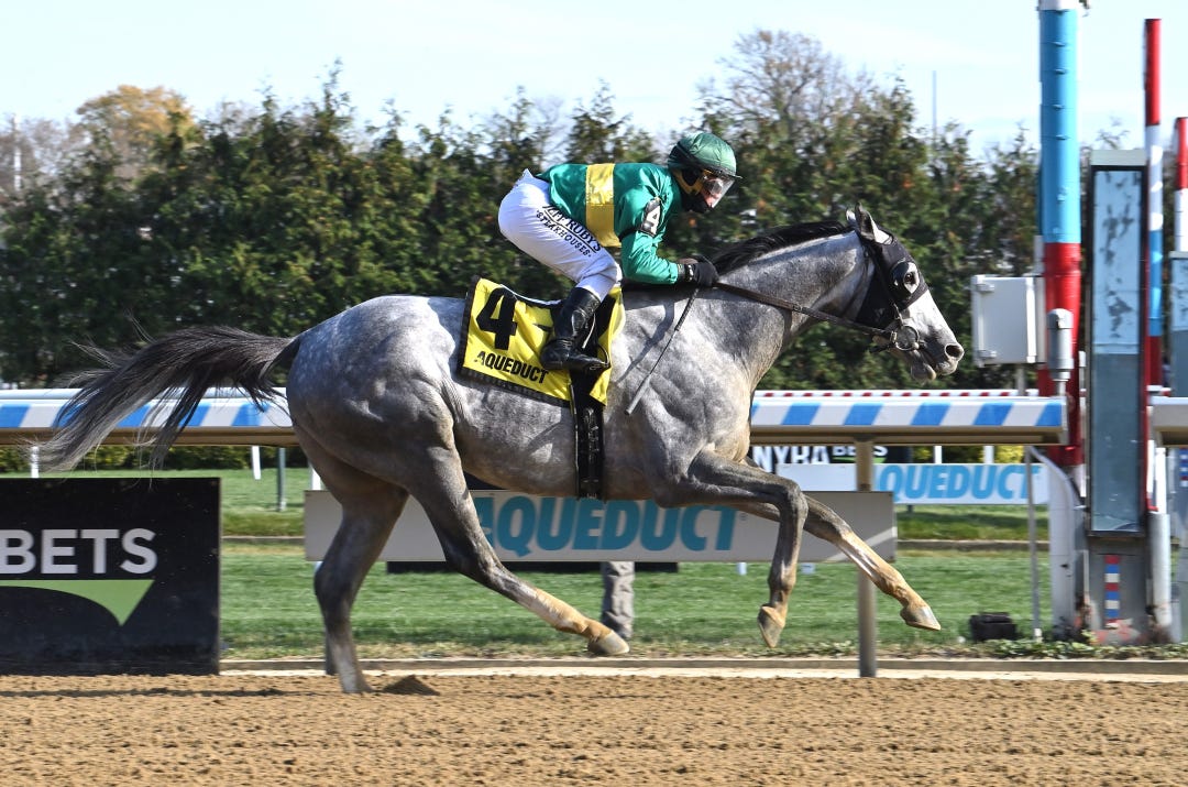 Signator wins at AQU Nov 12 2023