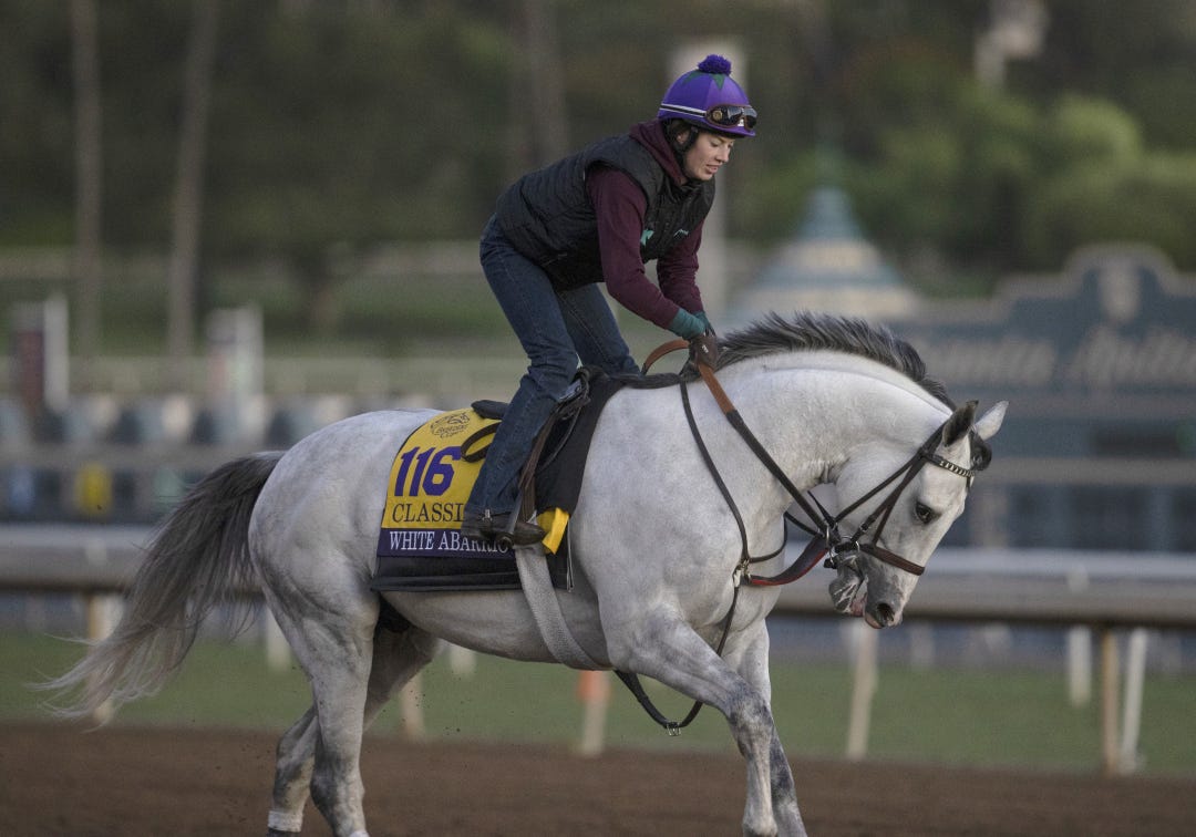 White Abarrio at SA Oct 31 2023