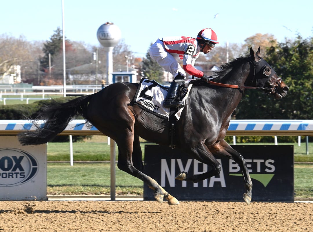 Aggregation wins at AQU Nov 19 2023