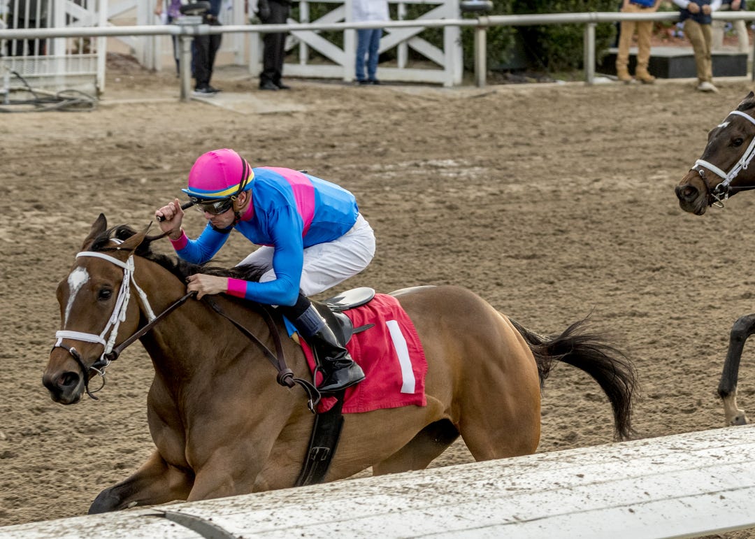 Alpine Princess wins Untapable at FG Dec 23 2023