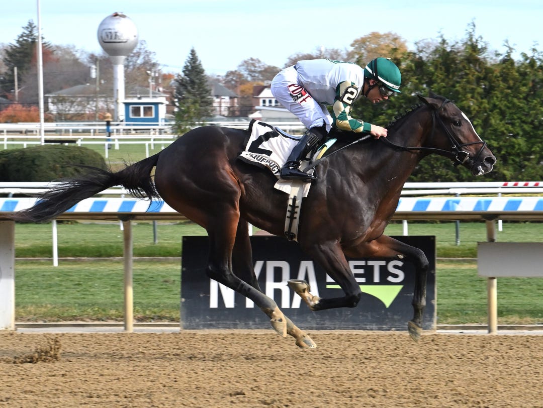 Brick Ambush wins maiden at AQU Nov 17 2023
