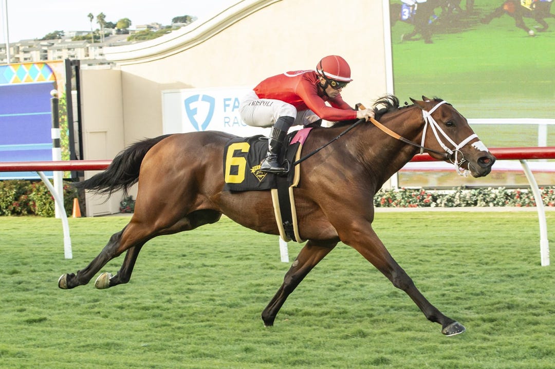 Dandy Man Shines wins the Let It Ride at DMR Nov 10 2023