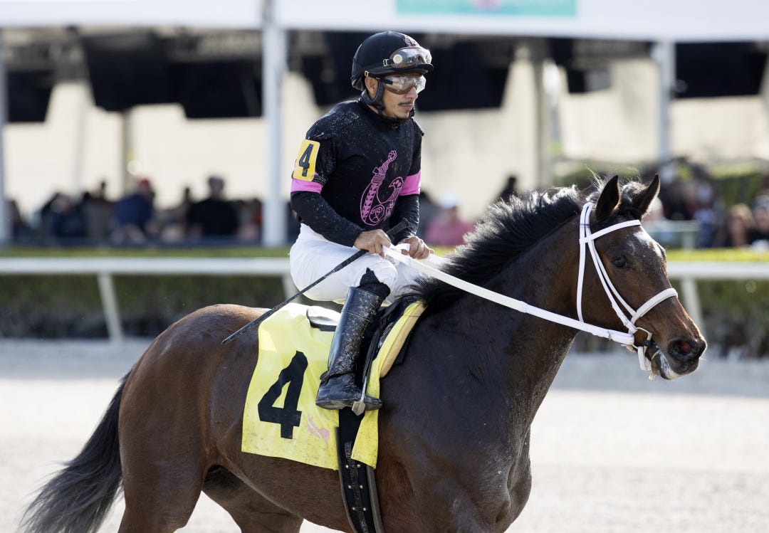 Disco Ebo at GP Feb 5 2022