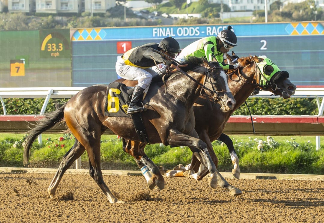 Dr. No No (inside) beats Mici's Express in the I'm Smokin at DMR Sept 8 2023