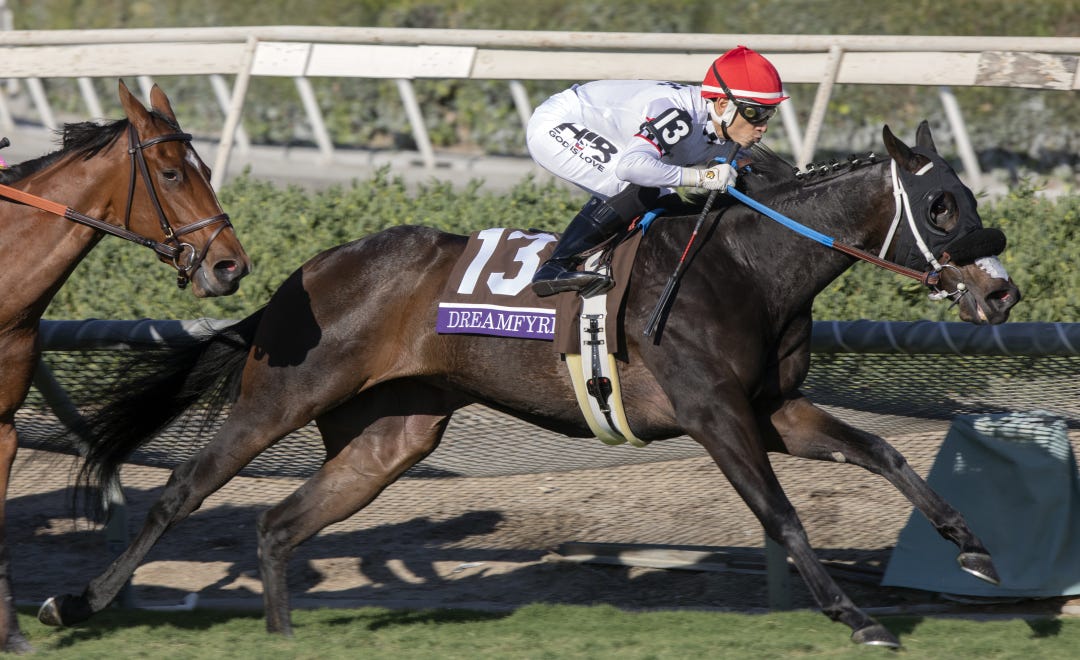 Dreamfyre during BC Juvenile Fillies Turf at SA Nov 3 2023