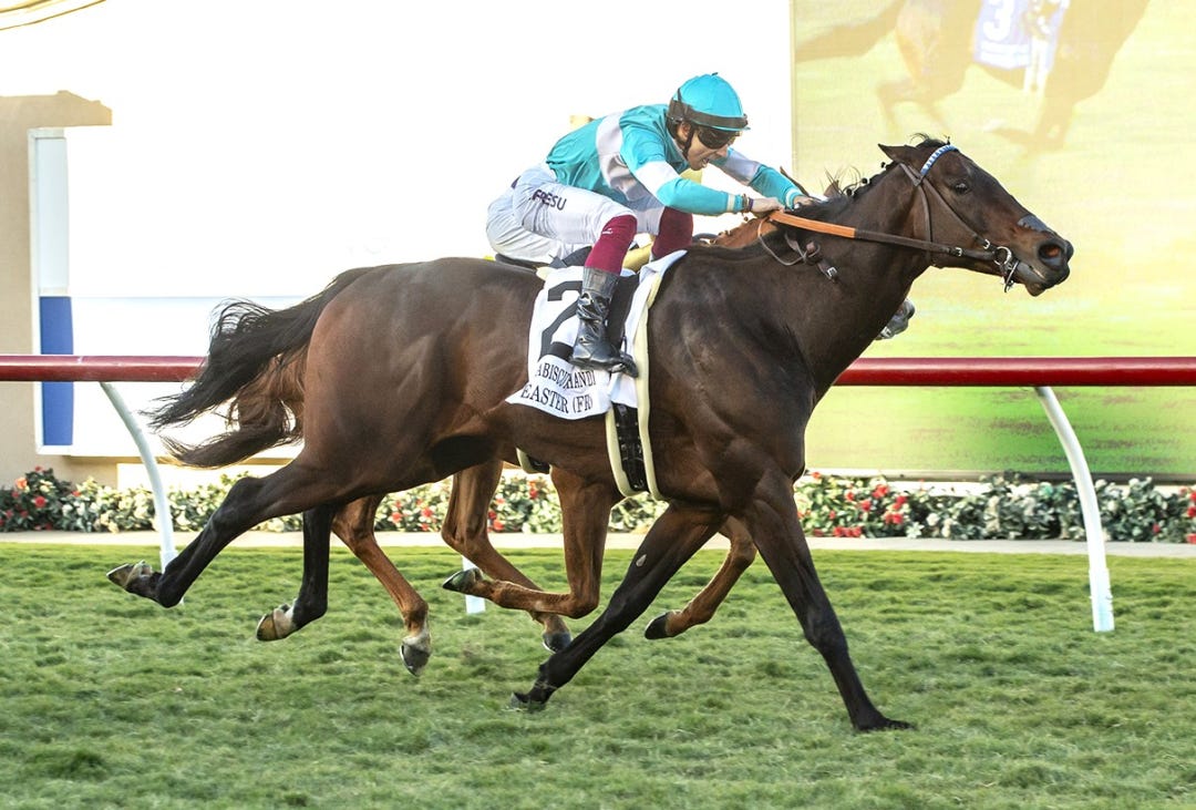 Easter wins Seabiscuit Handicap at DMR Nov 25 2023
